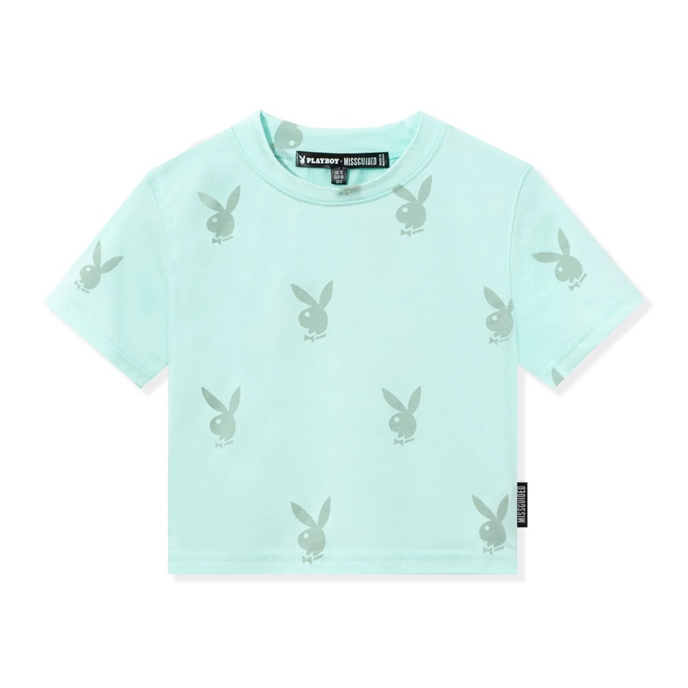 Mint Playboy crop top